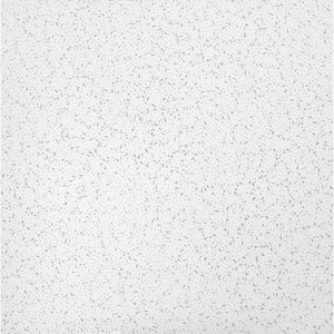 Armstrong CEILINGS Textured 2 Ft. X 4 Ft. Lay-in Ceiling Tile (32 Sq ...