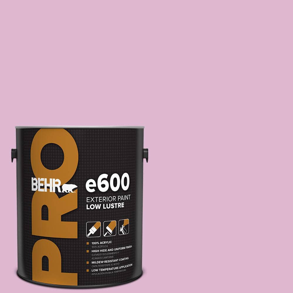 1 gal. #M120-3 Pink Wink Low Luster Exterior Paint price history on PriceWatchPro