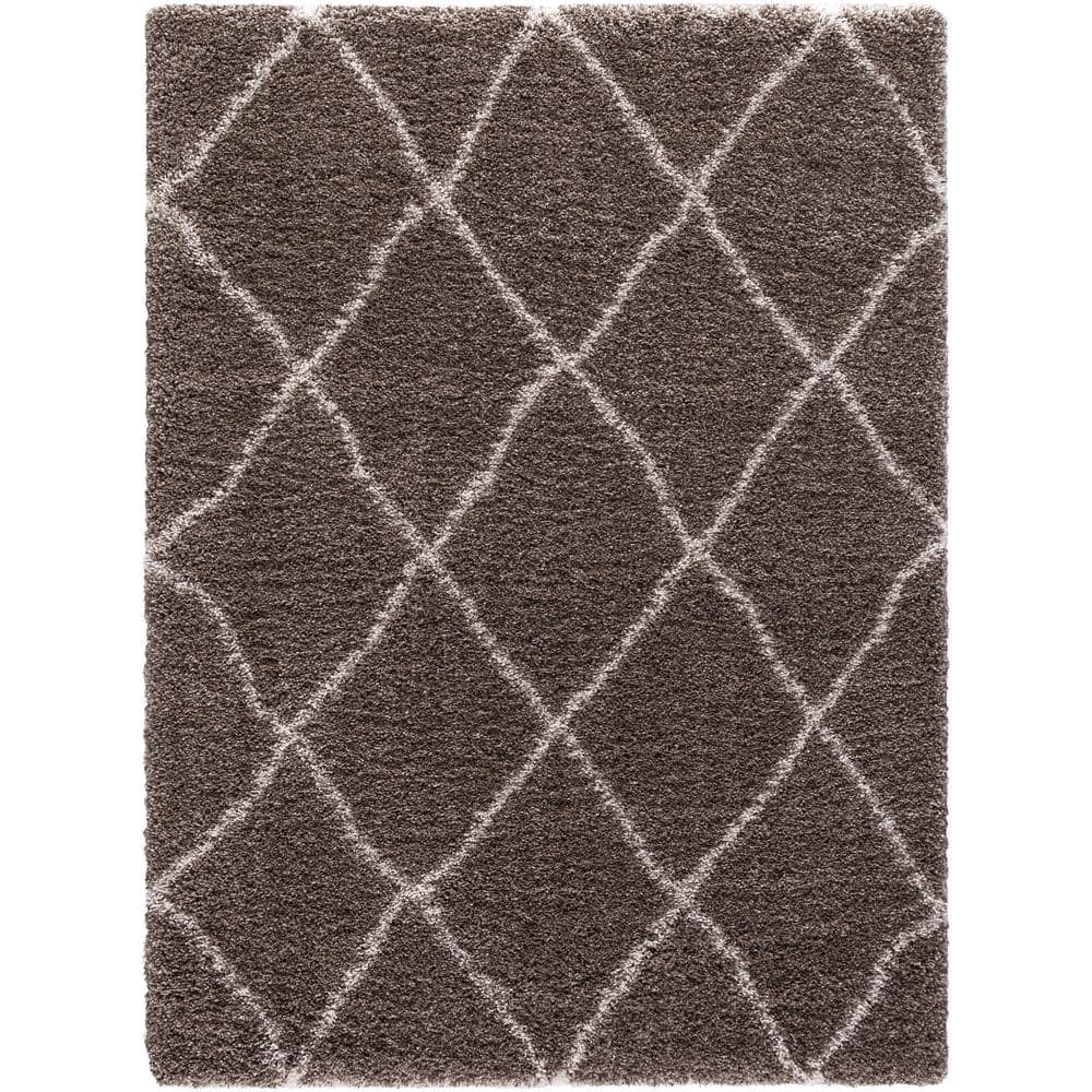 Ocean Shag Trellis Light Brown 3 ft. x 5 ft. Area Rug price history on PriceWatchPro