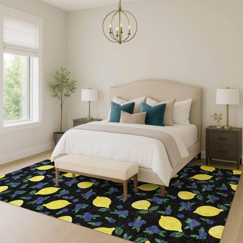 Chantille Machine Washable Indoor/Outdoor Abstract ACN2354 Black 3 ft. x 4 ft. Area Rug price history on PriceWatchPro