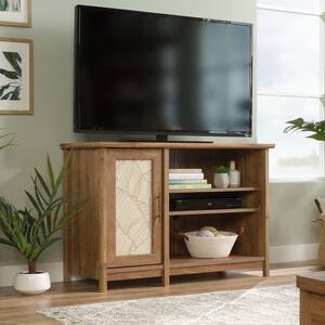 Coral Cape 42 in. Sindoori Mango Wood TV Stand Fits TVs Up to 42 in. with Storage Doors