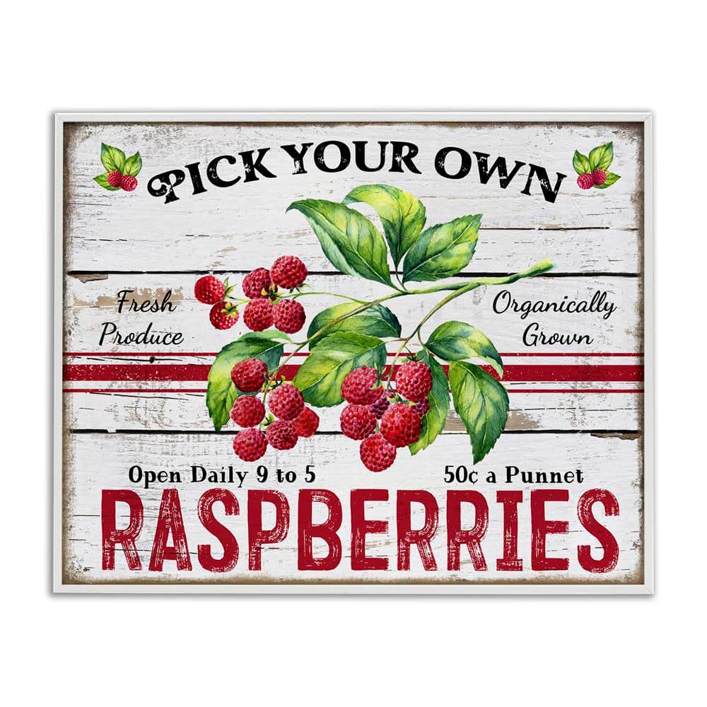 Pick Your Own Raspberries by Creatif Belle White Framed Food Giclee Art Print 24 in. x 30 in. price history on PriceWatchPro