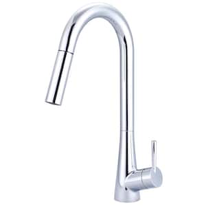 i2 Single-Handle Pull-Down Sprayer Kitchen Faucet with Straight Sprayer in Polished Chrome