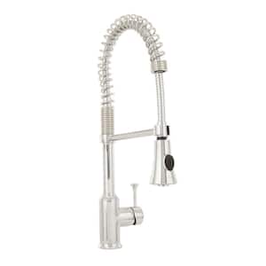 Pekoe Single-Handle Pull-Down Sprayer Kitchen Faucet in Chrome