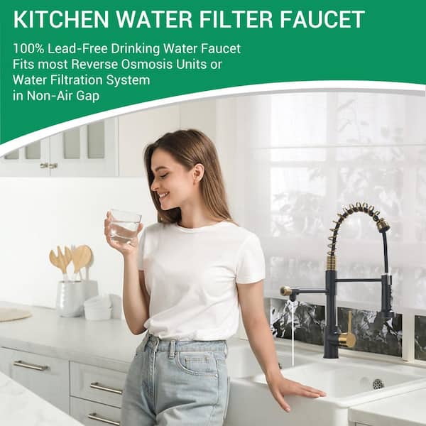 3 Way Spring Single Handle Pull Down Sprayer Kitchen Faucet, Kitchen Drinking Faucet Water in Matte Black&Brushed Gold