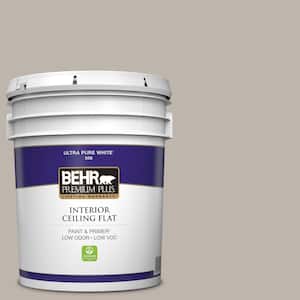 5 gal. #PPU18-12 Graceful Gray Ceiling Flat Interior Paint