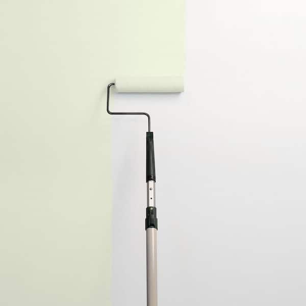 Lime Wash PPG1122-2 Paint