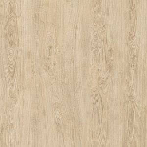 Take Home Sample - Antler Trail Oak Click Lock Waterproof Luxury Vinyl Plank Flooring