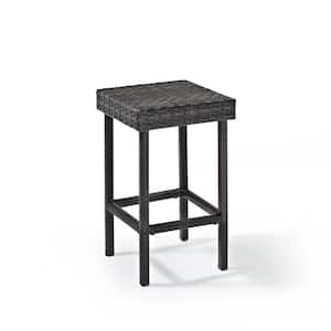 Palm Harbor Wicker Outdoor Bar Stool (2-Pack)