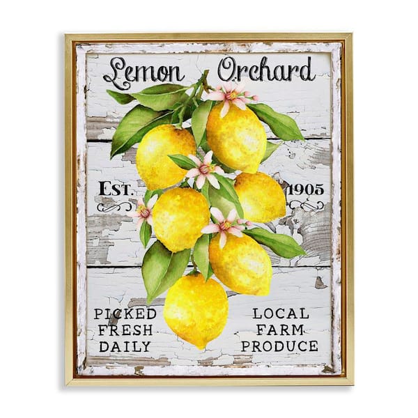 Stupell Industries Lemon Orchard Market by Creatif Belle Gold Floater Frame Food Graphic Art Print 31 in. x 25 in.