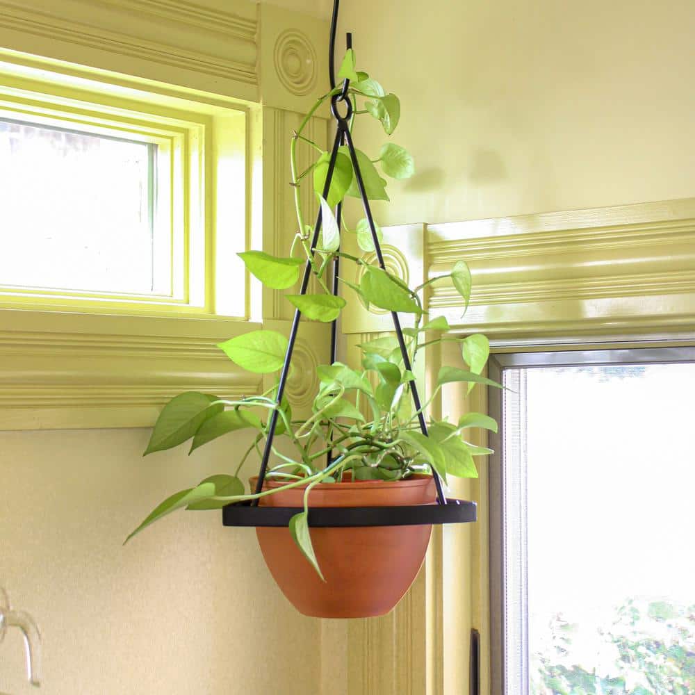 Burnt Sienna Galvanized Steel Bowl Planter Pot 8"