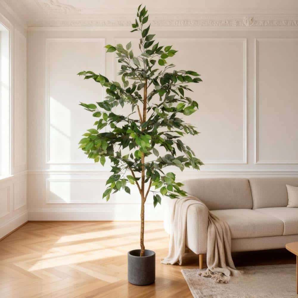 6 ft. Artificial Ficus Tree with Natural Wood Trunk and Fabric Leaves in Black Pot for Indoor Decor, 1-Pack price history on PriceWatchPro