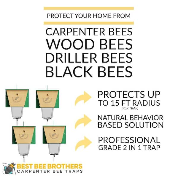 Ultimate Pro Carpenter Bee Trap with Bee Vault and Extra Large External Receptacle (4-Pack)