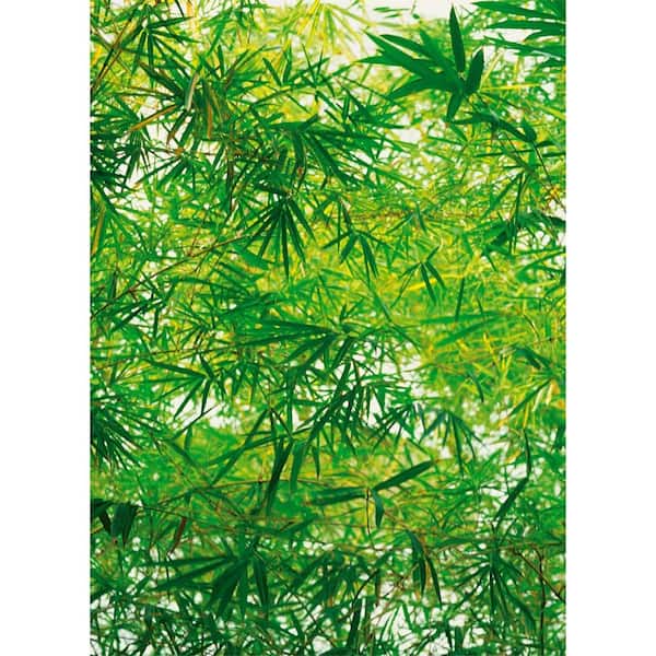 Ideal Decor 100 in. x 72 in. Bamboo Wall Mural