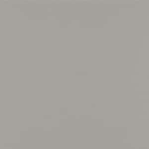 Magnolia Home Hardie Panel HZ5 48 in. x 120 in. Fiber Cement Smooth in It's About Thyme (50-Pack)