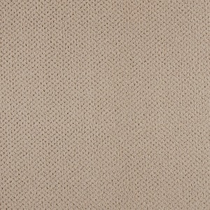 Pretty Penny - Color Highlander Indoor Pattern Brown Carpet