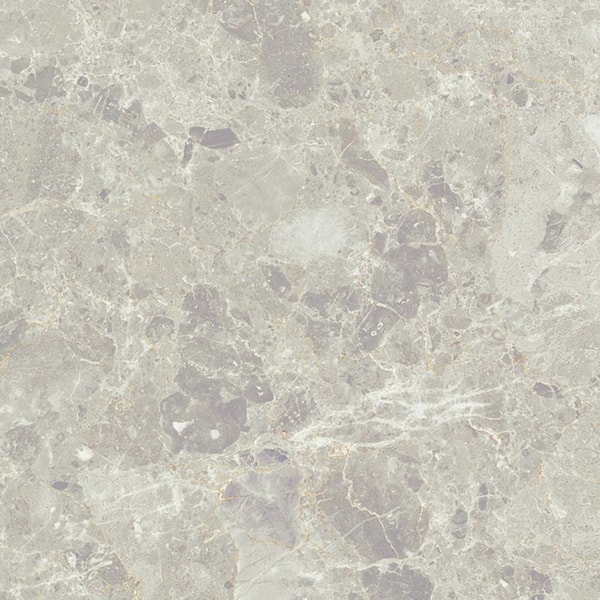 Unbranded Perla Outdoor 24 in. x 24 in. Matte Porcelain Floor and Wall Tile 3.87 sq. ft. (Each)