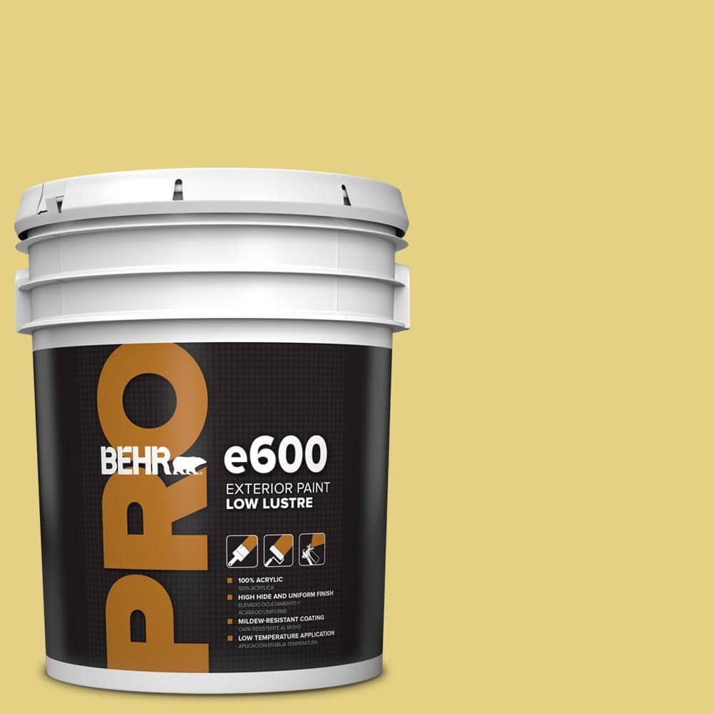5 gal. #P330-4 Starfruit Low Luster Exterior Paint price history on PriceWatchPro