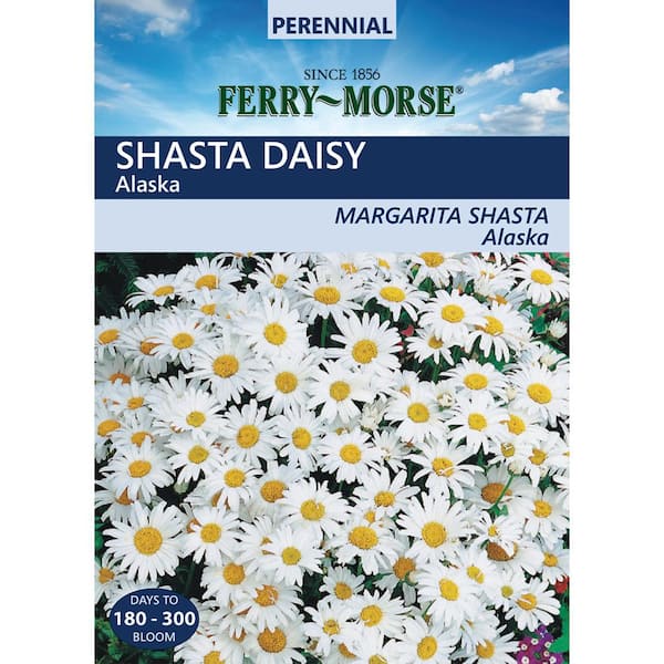 Ferry-Morse Shasta Daisy Alaska Flower Seed