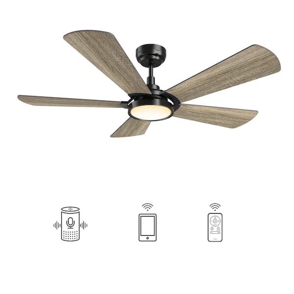 CARRO Wilkes 52 in. Dimmable LED Indoor/Outdoor Black Smart Ceiling Fan with Light and Remote, Works with Alexa/Google Home