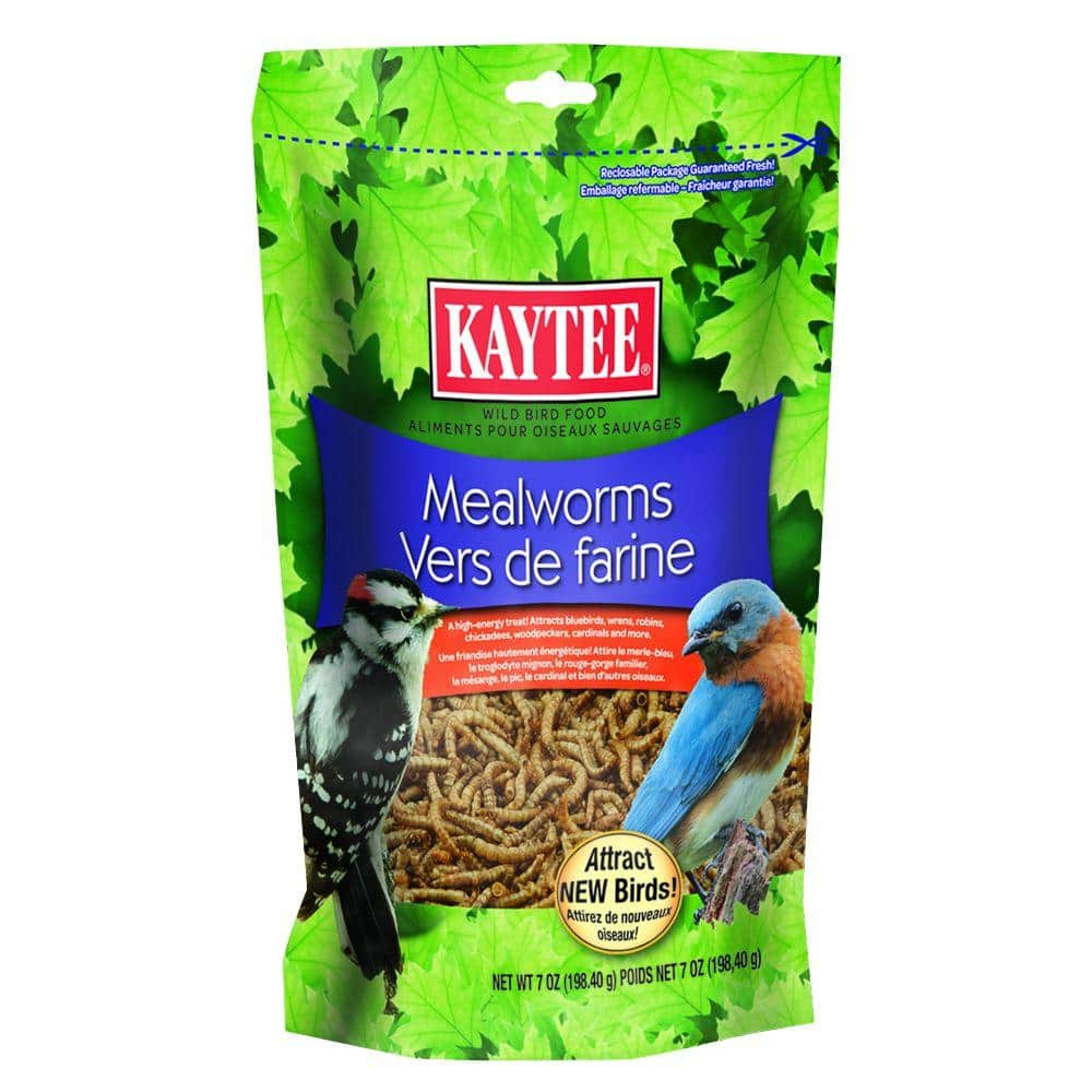 kaytee mealworms