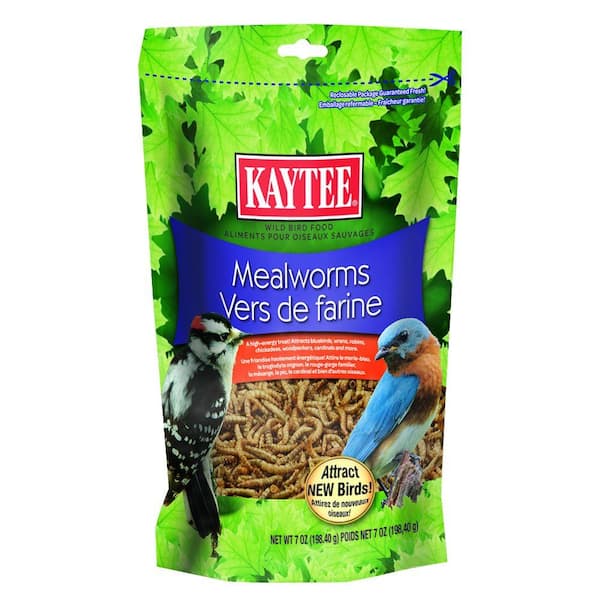 kaytee mealworms 7 oz