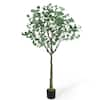 CAPHAUS 5 ft. Green Artificial Olive Tree, Faux Plant in Pot, Faux Olive  Branch and Fruit with Dried Moss for Indoor Home Office HDFT-CHOV6002 - The  Home Depot