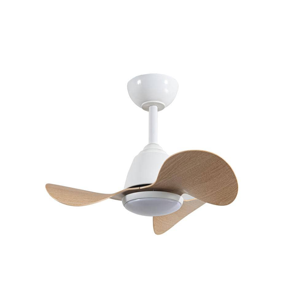 Warehouse of Tiffany Cian 24 in. 1-Light Indoor White Finish Ceiling Fan with Light Kit