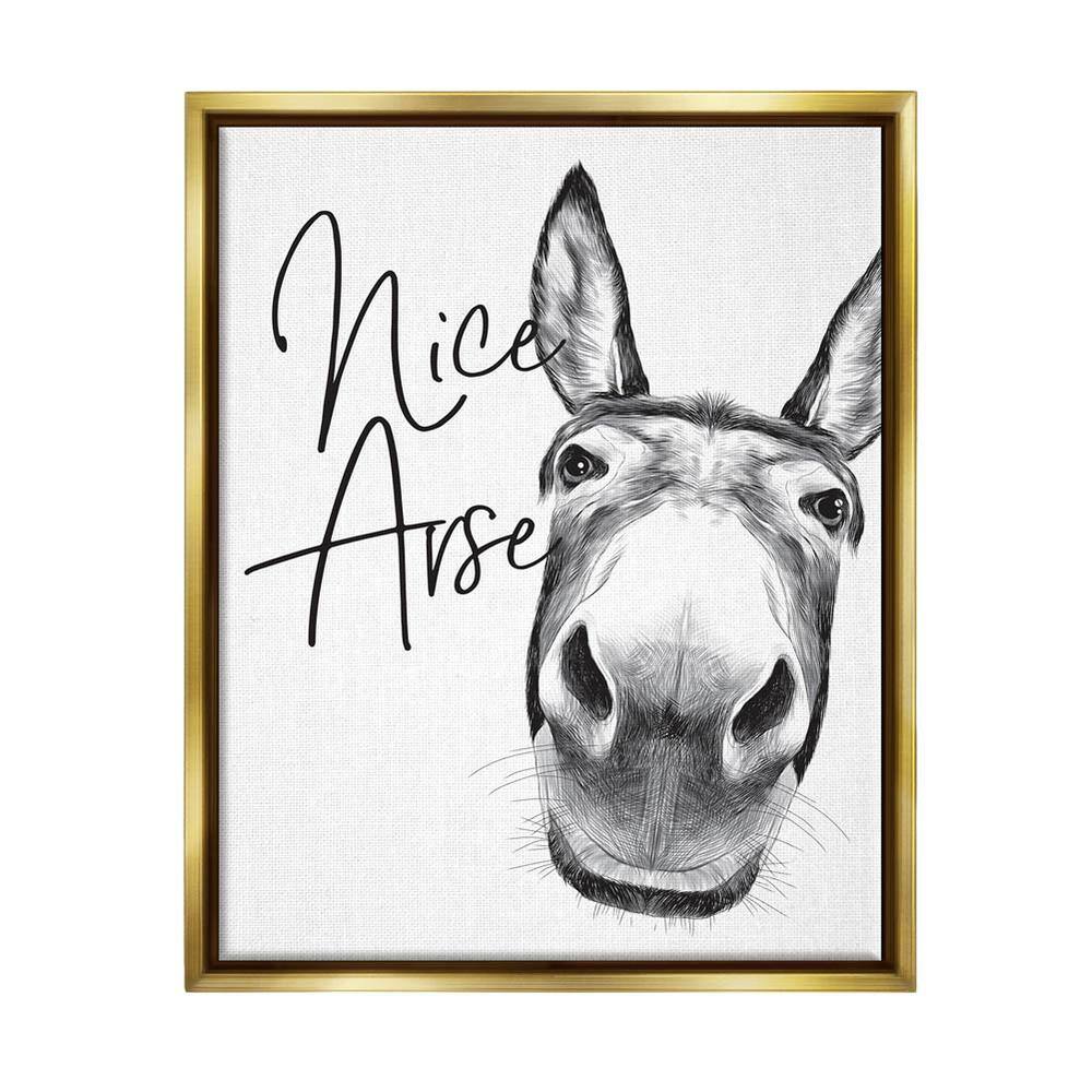 Animal Humor Nice Arse Donkey Bathroom Phrase by Lettered and Lined Floater Frame Animal Wall Art Print 21 in. x 17 in. price history on PriceWatchPro