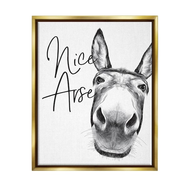 The Stupell Home Decor Collection Animal Humor Nice Arse Donkey Bathroom Phrase by Lettered and Lined Floater Frame Animal Wall Art Print 21 in. x 17 in.