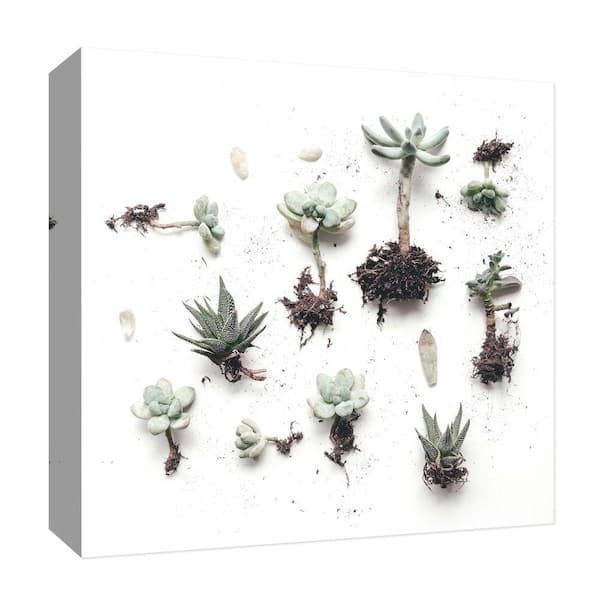 PTM Images Nature II'' Canvas Abstract Wall Art 15 in. x 15 in.