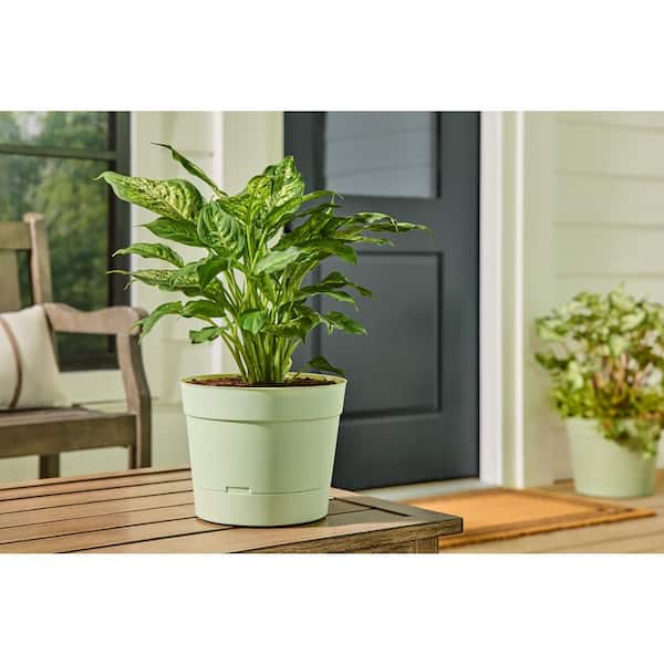 Vigoro Copeland Medium Green Recycled Materials Plastic Round