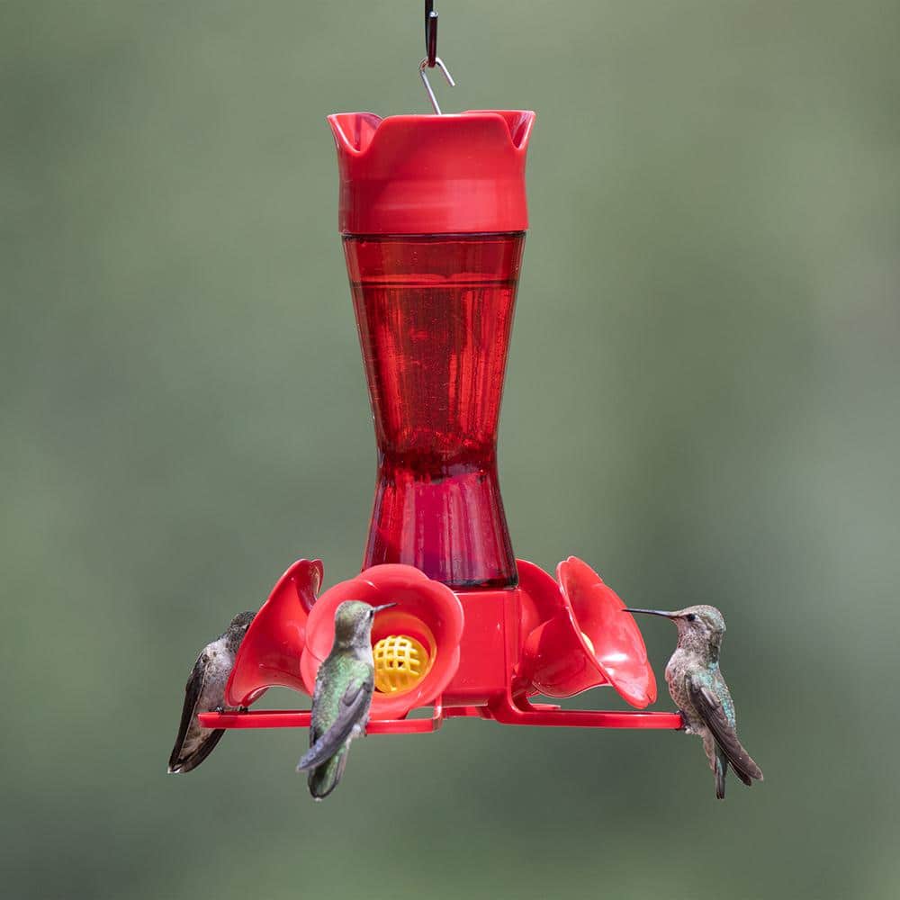 Red Glass and Plastic Hanging Hummingbird Feeder, 8-Ounce