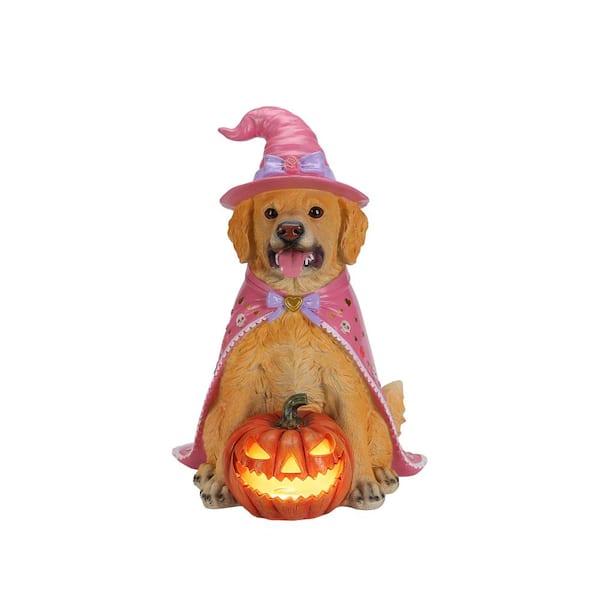 Halloween Golden Retriever Dog Statue with Pink Witch Hat & Cape, LED Light Up Jack-O-Lantern Pumpkin