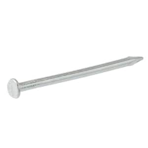 #18 x 5/8 in. Stainless Wire Nails (1 oz.per pack)