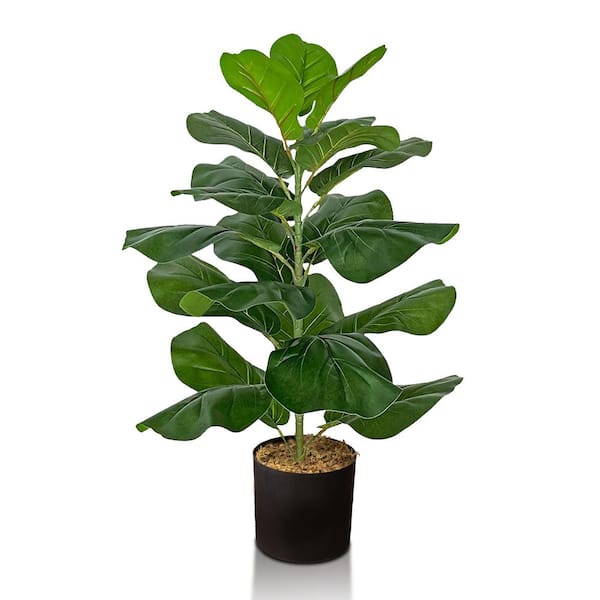 FOREVER LEAF 30 in. Ficus Lyrata Fake Plant - Artificial Plants for ...