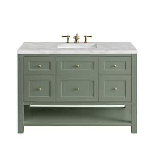 Breckenridge 48.0 in. W x 23.5 in. D x 34.2 in. H Single Vanity in Smokey Celadon with Victorian Silver Top