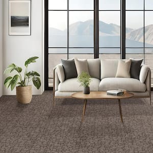 Painted Picture - Fossilize-Brown 12 ft. 45 oz. Triexta PET Pattern Installed Carpet