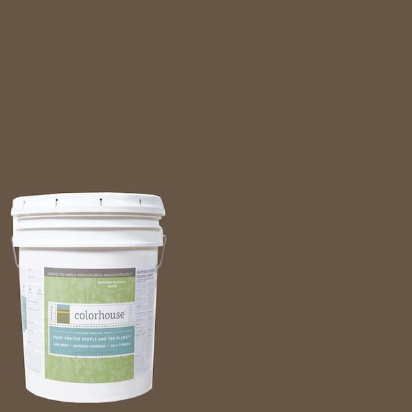 Colorhouse 5 gal. Clay .06 Eggshell Interior Paint