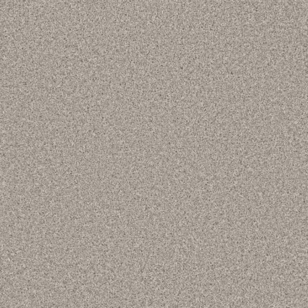 8 in. x 8 in. Texture Carpet Sample-Trestle I-Color Path price history on PriceWatchPro