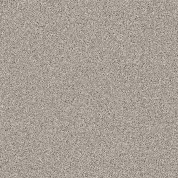 8 in. x 8 in. Texture Carpet Sample-Trestle II-Color Path