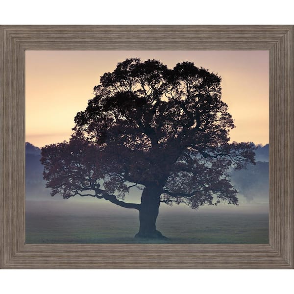 Classy Art 28 in. x 34 in. "Evening Wisdom" By Assaf Frank Framed Print Wall Art