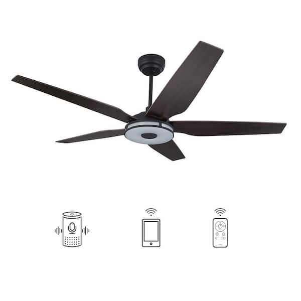 CARRO Starfish 52 in. Dimmable LED Indoor/Outdoor Black Smart Ceiling Fan with Light and Remote, Works with Alexa/Google Home