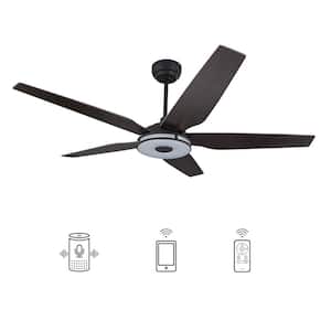 Starfish 56 in. Dimmable LED Indoor/Outdoor Black Smart Ceiling Fan with Light and Remote, Works with Alexa/Google Home