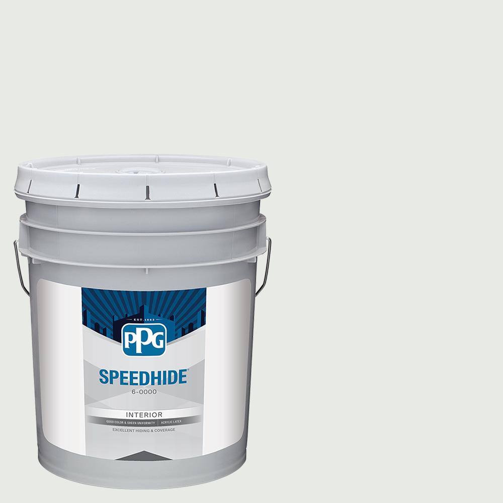 5 gal. PPG1011-1 Pacific Pearl Eggshell Interior Paint price history on PriceWatchPro