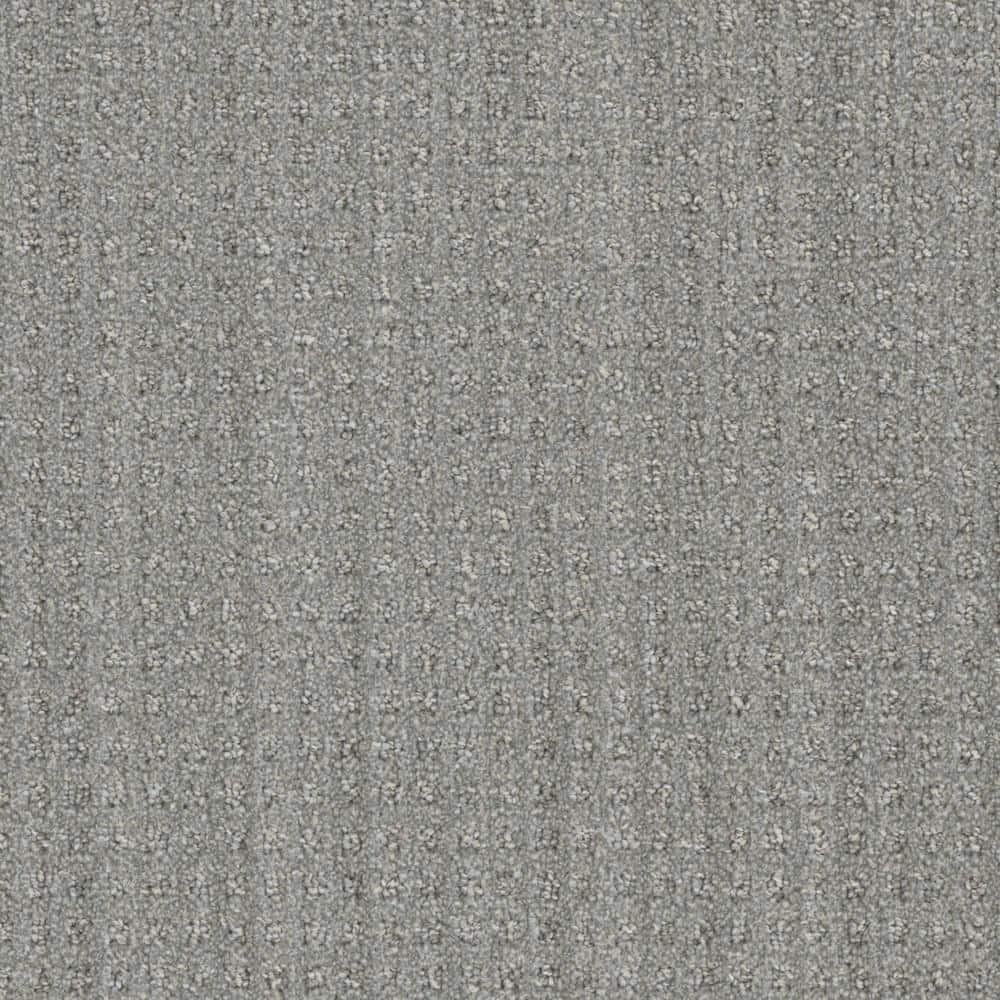 8 in. x  8 in. Pattern Carpet Sample - Dovetail -Color Cottage price history on PriceWatchPro