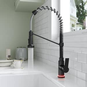 Single-Handle Pull-Down Sprayer Kitchen Faucet with LED Base, FastMount, Dual Sprays in Stainless Steel in Matte Black