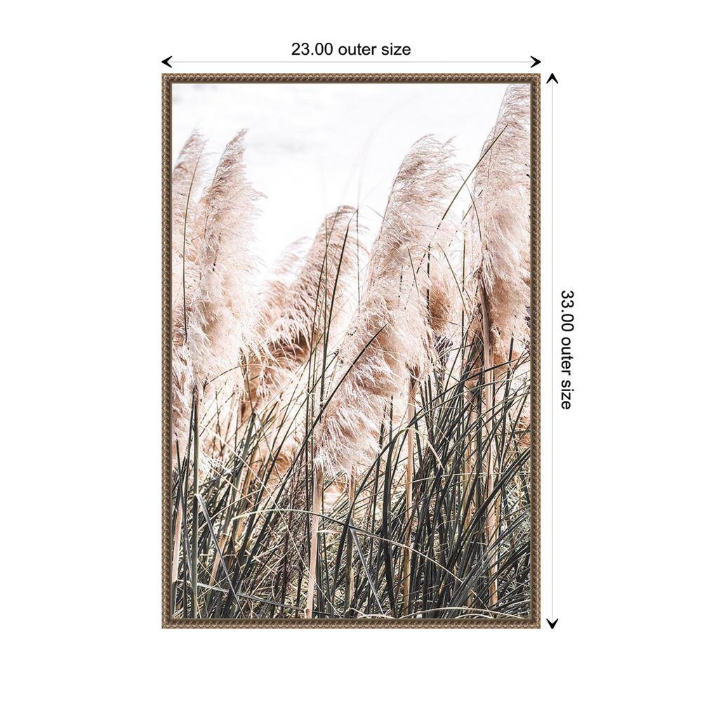 Pampas Grass Photography on Canvas with Bronze Frame