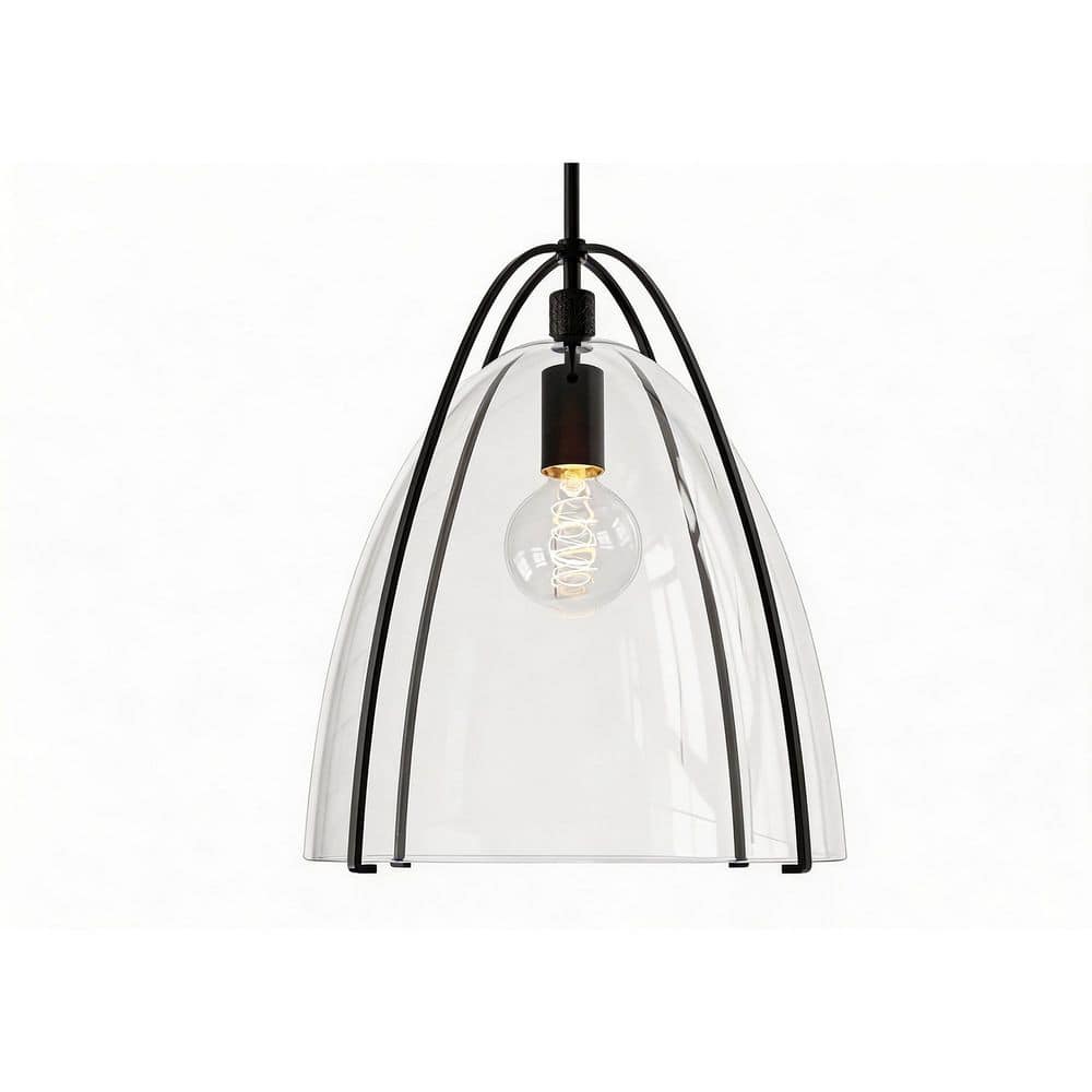 1-Light Matte Black Pendant Light with Clear Bullet Glass, E26 Light for Kitchen Island and Bar price history on PriceWatchPro
