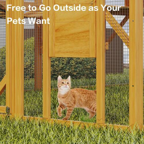 Large Wooden Outdoor Cat House, Cat Run Enclosure